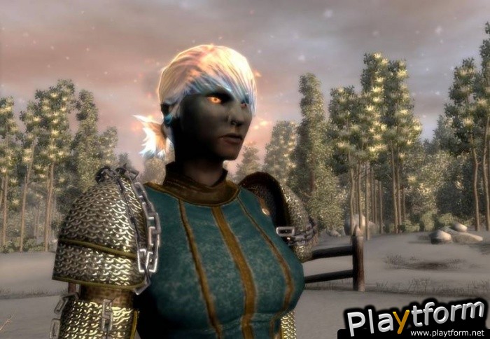 Neverwinter Nights 2: Mask of The Betrayer (PC)