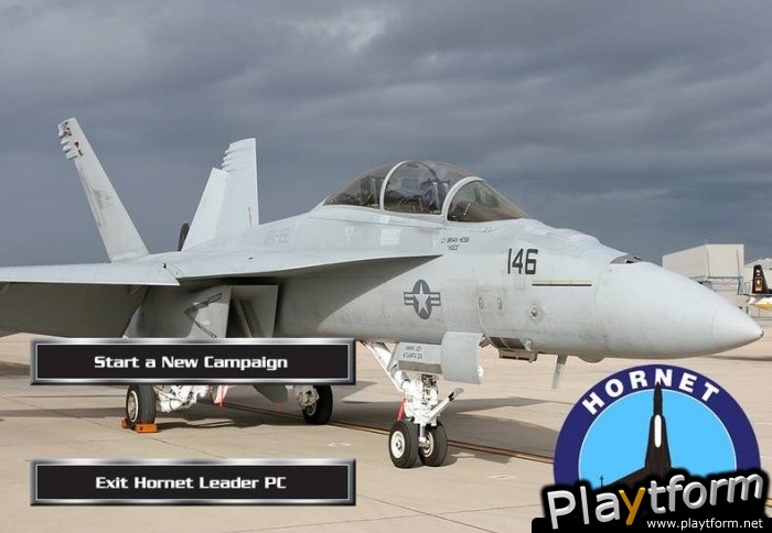 Hornet Leader (PC)