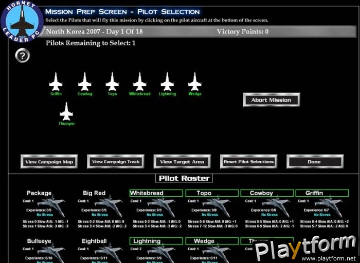 Hornet Leader (PC)