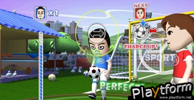 FIFA Soccer 08 (Wii)