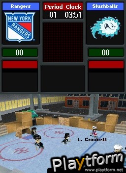 Backyard Hockey (DS)