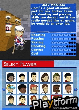 Backyard Hockey (DS)