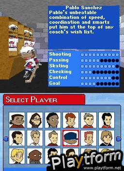 Backyard Hockey (DS)