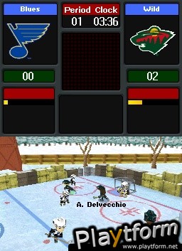 Backyard Hockey (DS)