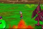 Dragon Quest Monsters: Joker (DS)