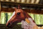 Horse Life (DS)