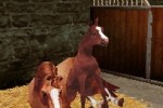 Horse Life (DS)