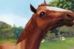 Horse Life (DS)