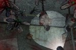 Dementium: The Ward (DS)