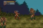 Golden Axe III (Wii)