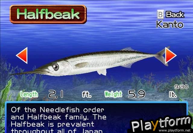 Fishing Master (Wii)