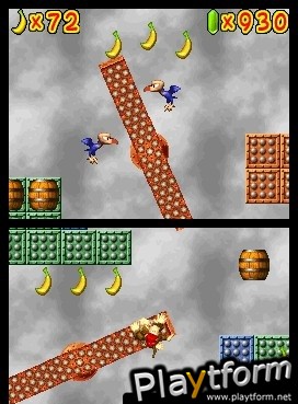 DK Jungle Climber (DS)