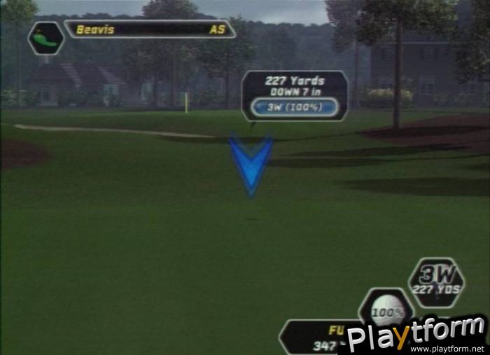 Tiger Woods PGA Tour 08 (PlayStation 2)