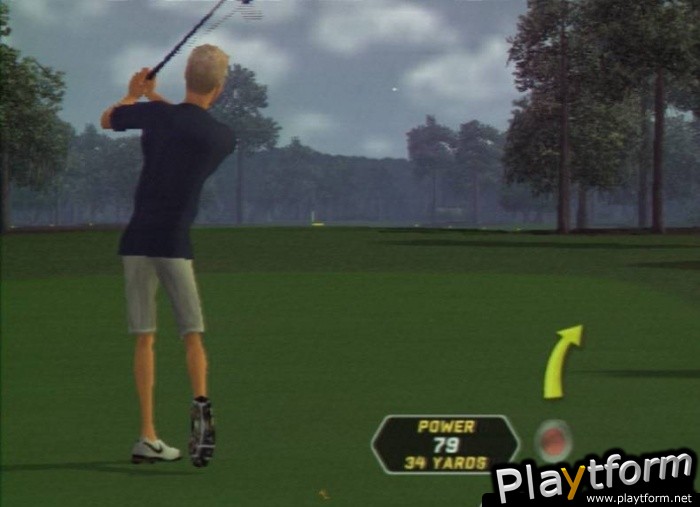 Tiger Woods PGA Tour 08 (PlayStation 2)