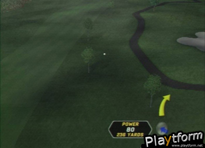 Tiger Woods PGA Tour 08 (PlayStation 2)