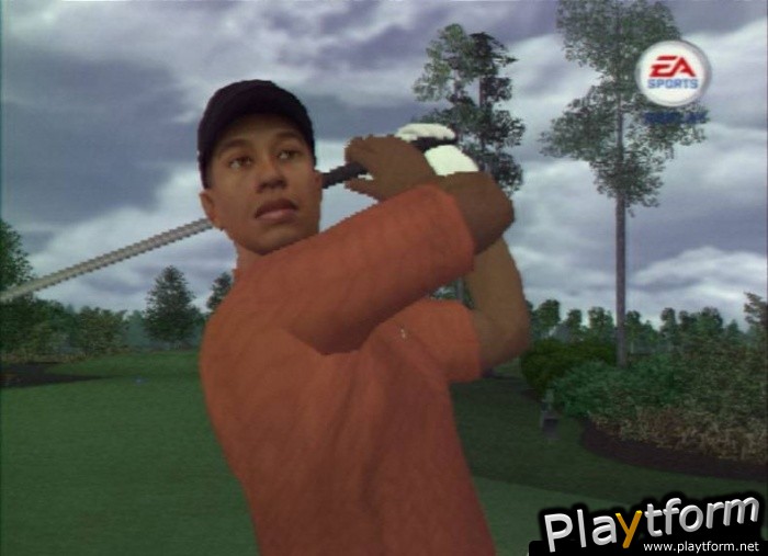 Tiger Woods PGA Tour 08 (PlayStation 2)