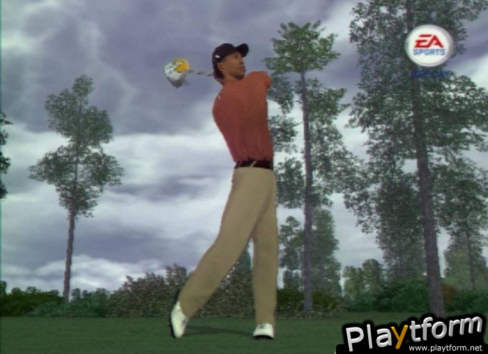 Tiger Woods PGA Tour 08 (PlayStation 2)