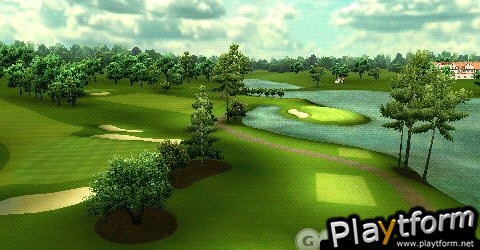 Tiger Woods PGA Tour 08 (PSP)