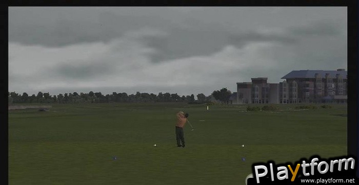 Tiger Woods PGA Tour 08 (Wii)