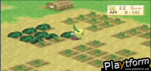 Harvest Moon: Boy & Girl (PSP)