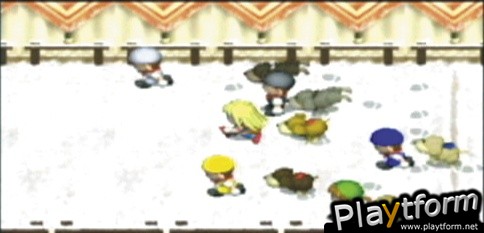 Harvest Moon: Boy & Girl (PSP)