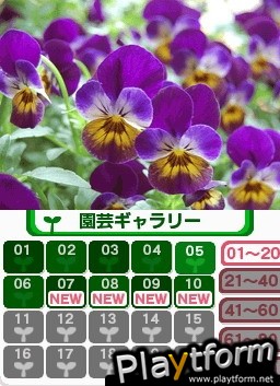 Hana Saku DS Gardening Life (DS)