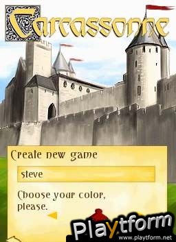 Carcassonne (DS)