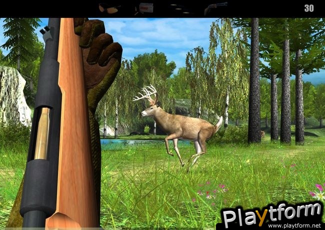 Deer Drive (PC)