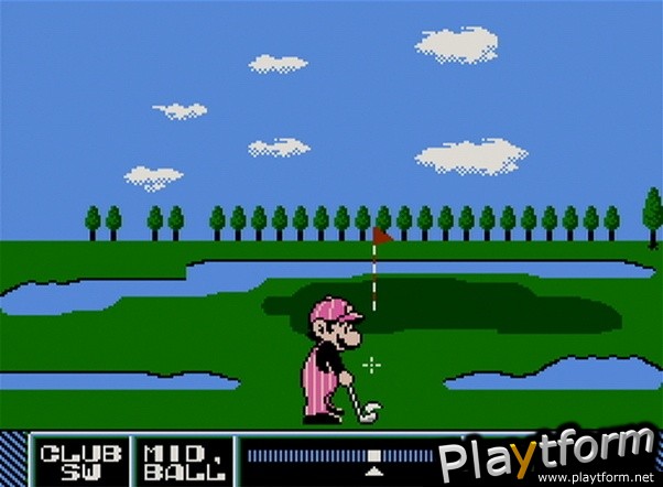 NES Open Tournament Golf (Wii)