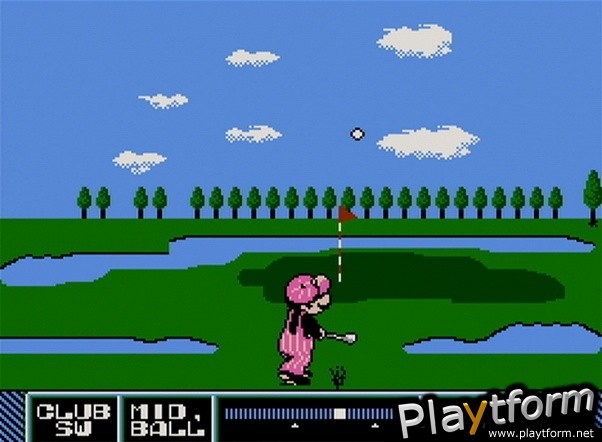 NES Open Tournament Golf (Wii)