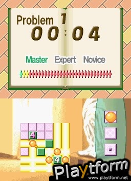 Brain Buster Puzzle Pak (DS)