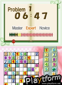 Brain Buster Puzzle Pak (DS)