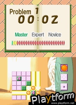 Brain Buster Puzzle Pak (DS)