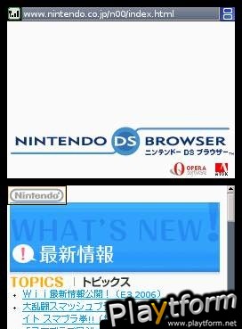 Nintendo DS Web Browser (DS)