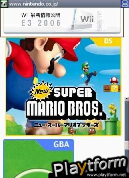 Nintendo DS Web Browser (DS)