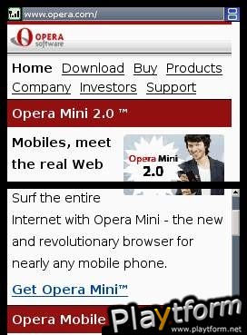 Nintendo DS Web Browser (DS)