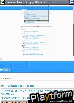 Nintendo DS Web Browser (DS)