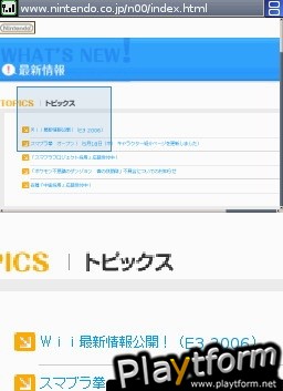 Nintendo DS Web Browser (DS)