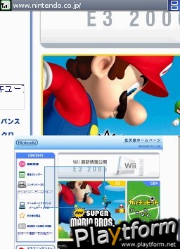 Nintendo DS Web Browser (DS)