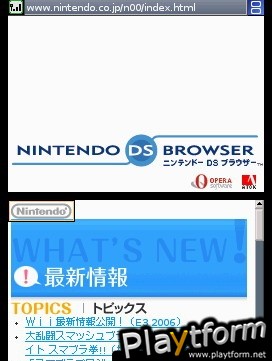 Nintendo DS Web Browser (DS)