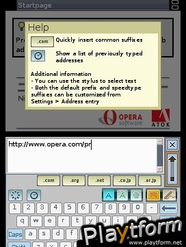 Nintendo DS Web Browser (DS)