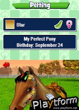 Pony Friends (DS)