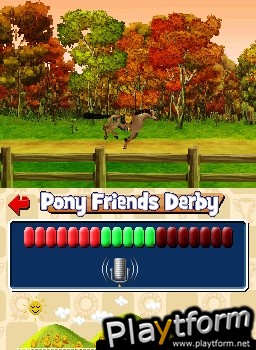 Pony Friends (DS)