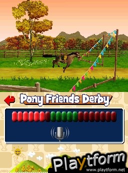 Pony Friends (DS)