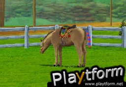 Pony Friends (DS)