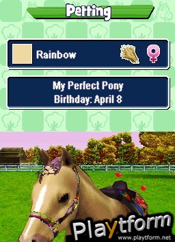 Pony Friends (DS)