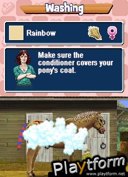 Pony Friends (DS)