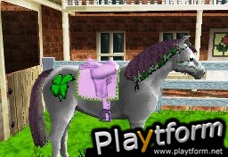 Pony Friends (DS)