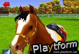 Pony Friends (DS)