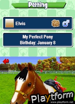 Pony Friends (DS)